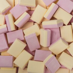 Schuimblokken 20 stuks