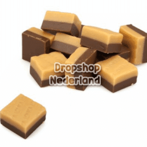 Duo Vanille Choco Fudge 500 gram